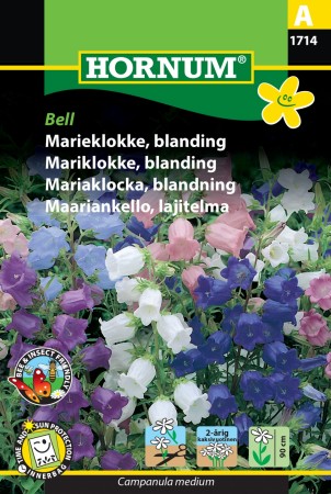 Mariklokke, blanding 'Bell' (Campanula medium)